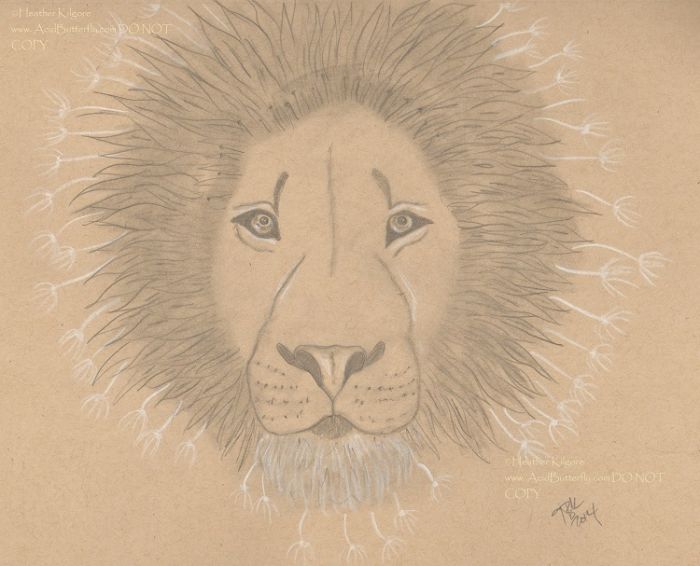 Dandy Lion by Heather Kilgore